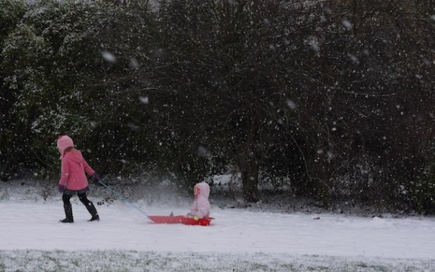 Brockwell Park in the snow. By Charlie Russell