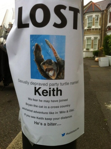 STILL MISSING: Keith the party turtle