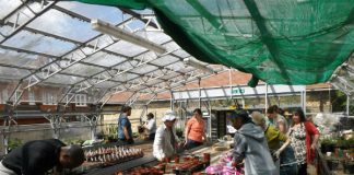 Myatt's Fields Park: the greenhouse in action