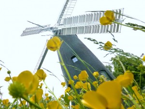 FLOUR POWER: Brixton Windmill. Picture by Nick Weedon on Flickr