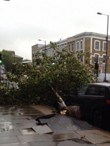 DAMAGE: This pic of a downed tree was taken by Lucy Keeler (@LucyAstrid) on Twitter. 