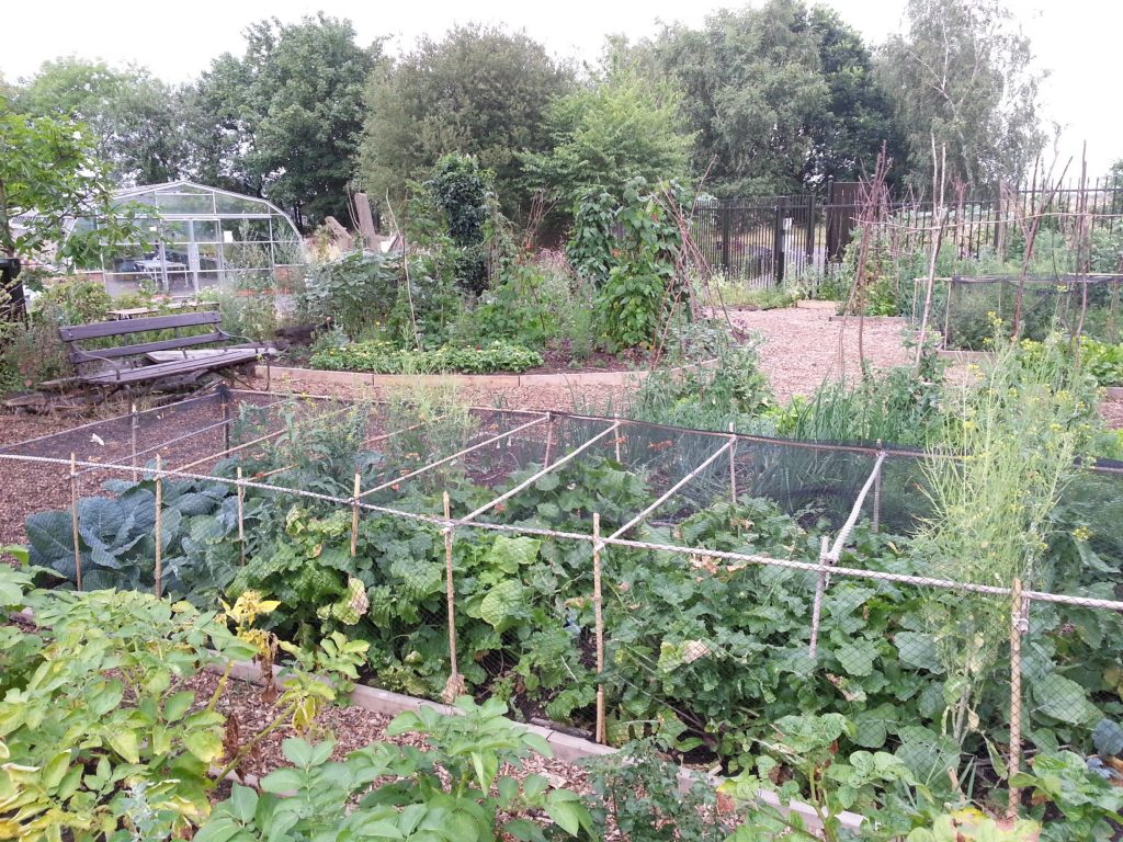 Brockwell Park Community Greenhouses