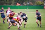 KCH RFC Vs Dartfordians