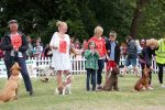 rsz_bpark_dog_show_00060(1)