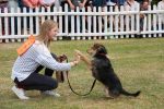 rsz_bpark_dog_show_00128