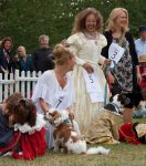 rsz_bpark_dog_show_00212