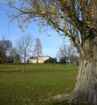 Brockwell_2008-11-14-09.35.35_500