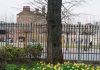 Brixton Bovril Wall from St Matthews with daffodils
