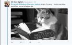 cat-reading