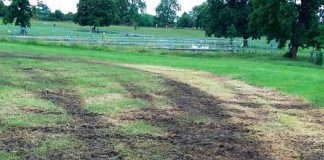 Mud in Brockwell Park