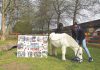 Pedro the pony with retirement banner