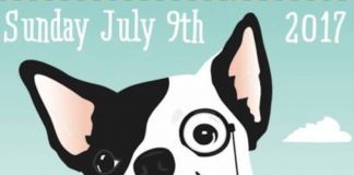 Dog Show poster 2017