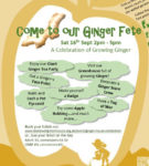 Ginger Poster-crop