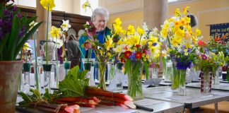 LHS flower show