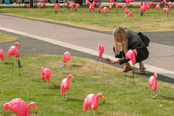 Plastic flamingos in Windrush Square
