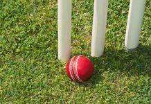 Stumps and cricket ball