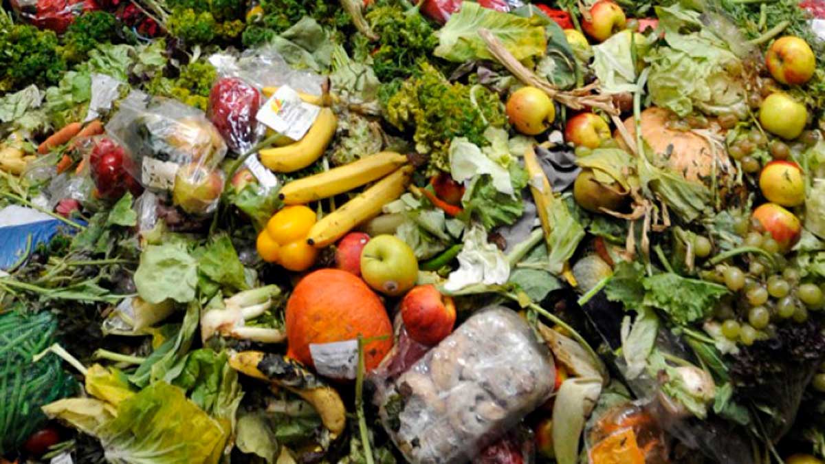 Picture of waste food