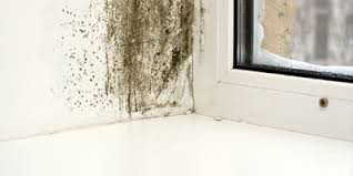 Picture shows damp at window of flat St Martin's estate