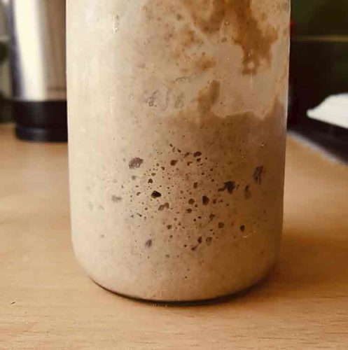 sourdough starter in a container