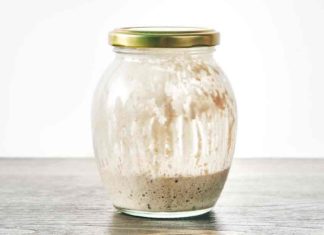 sourdough starter in jar