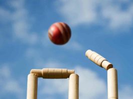 cricket ball, stumps and bails