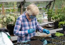 woman working in greenhouse