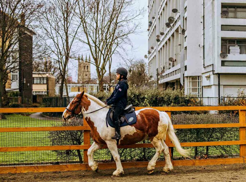 youngster on horse in urban environment