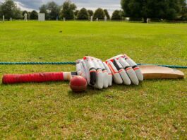 cricket bat, ball and gloves