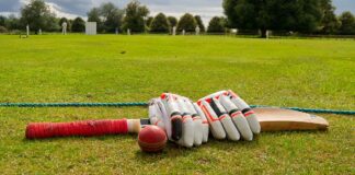 cricket bat, ball and gloves