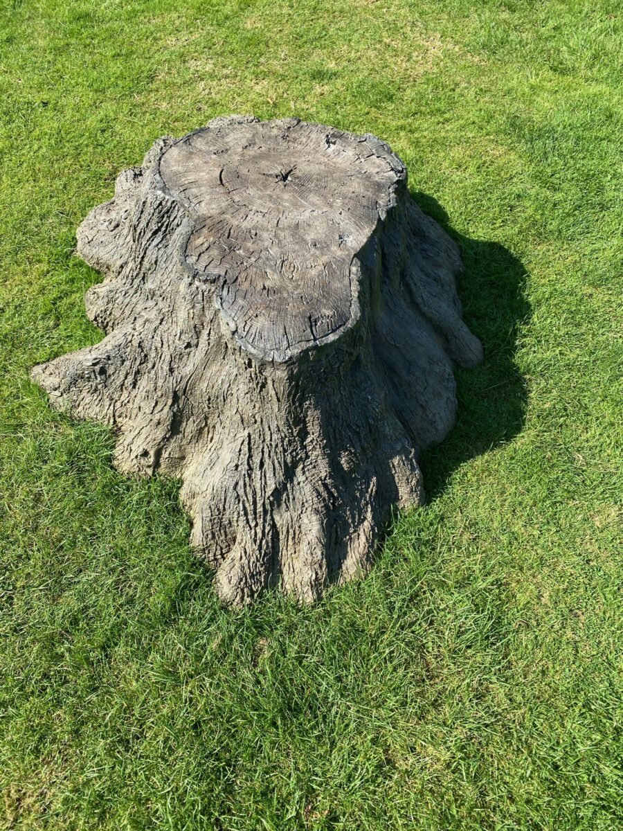 photo of stump