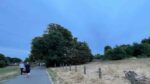 lido_path_Brockwell-Park_pitch_site_aug22_IMG_9905