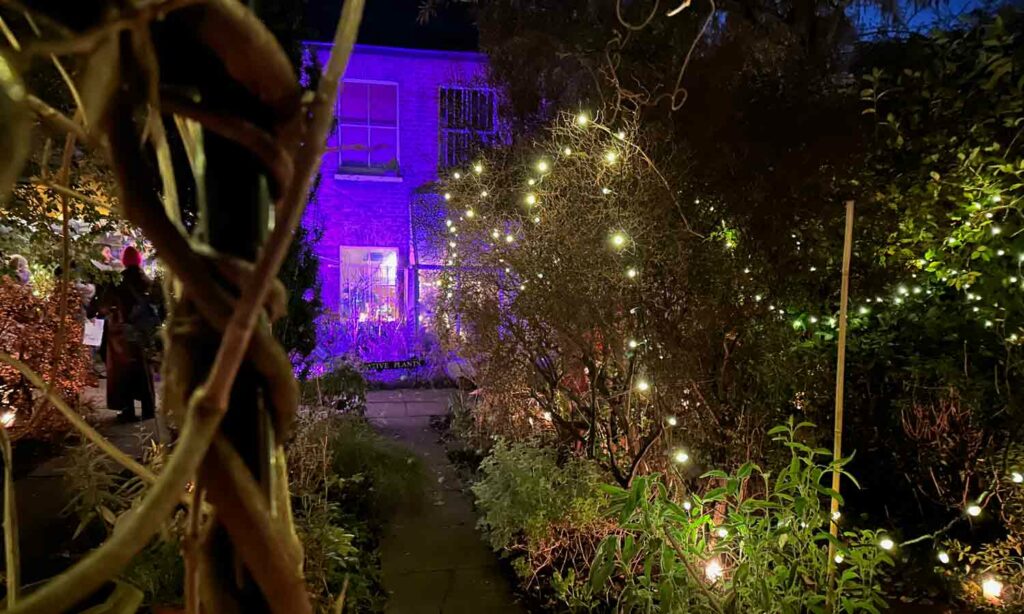 night time image of garden with ornamental lights