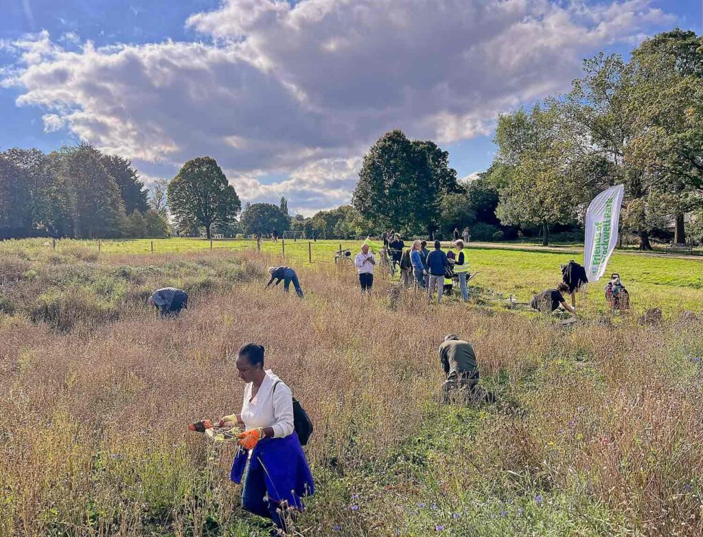 people in open parkland