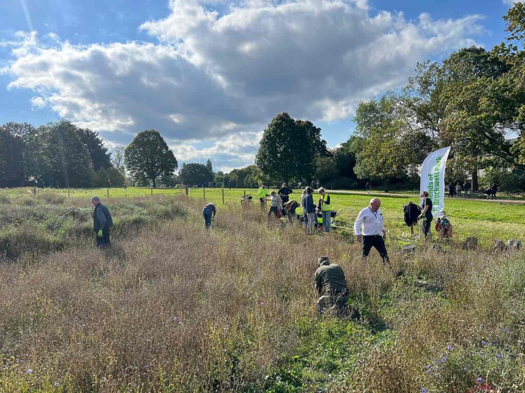 people in open parkland