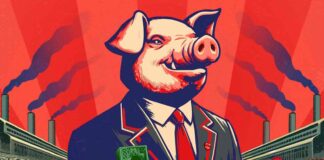 graphic of pig in suit