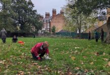 people picking litter