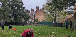 people picking litter