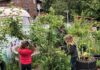 Children gardening at school