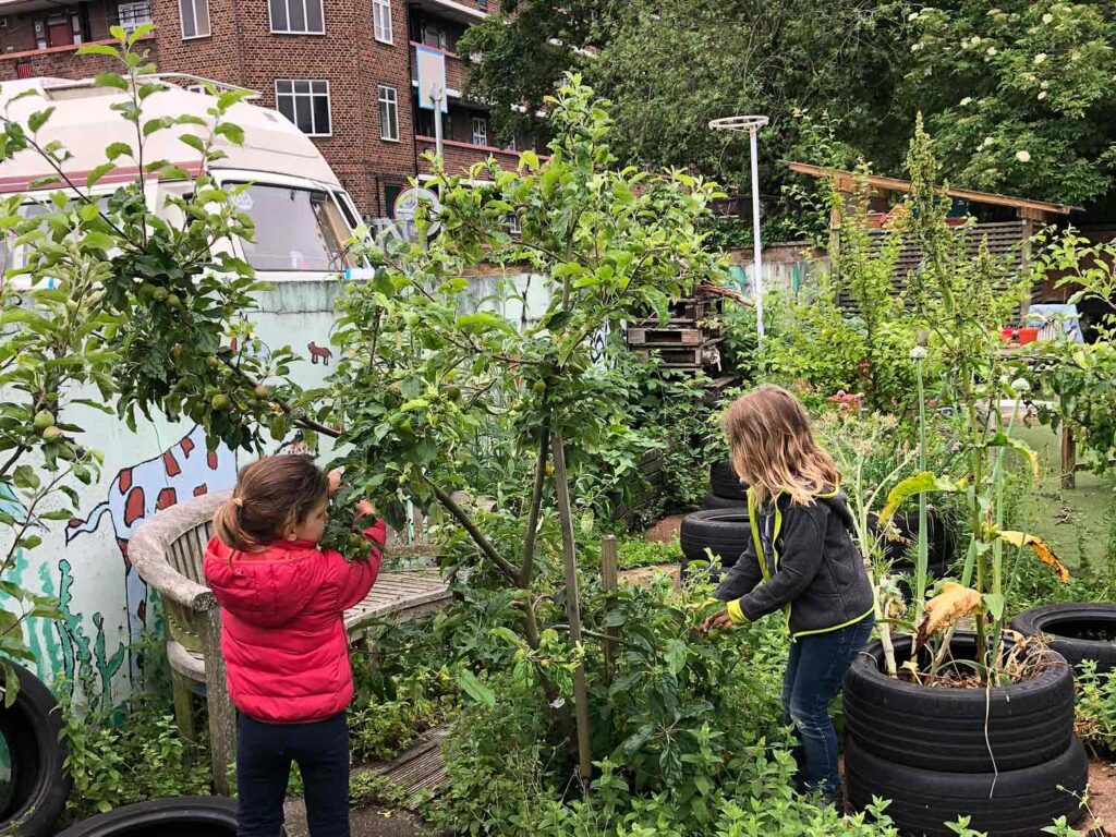 Children gardening at school