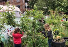 Children gardening at school