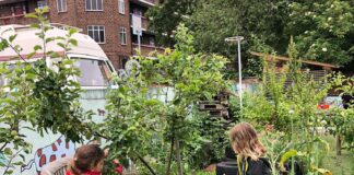 Children gardening at school