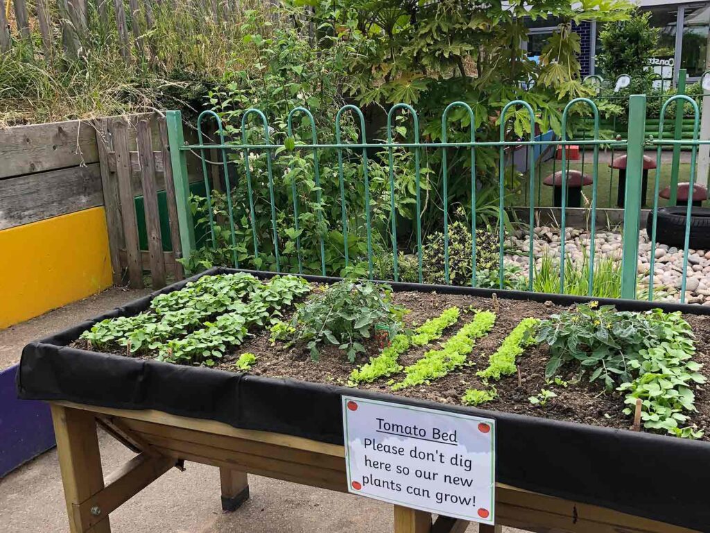 raised seed bed in school