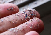 microplastics on fingers