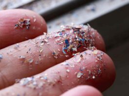 microplastics on fingers