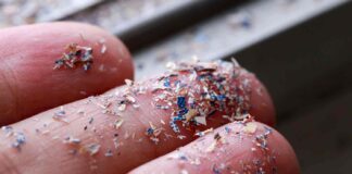 microplastics on fingers