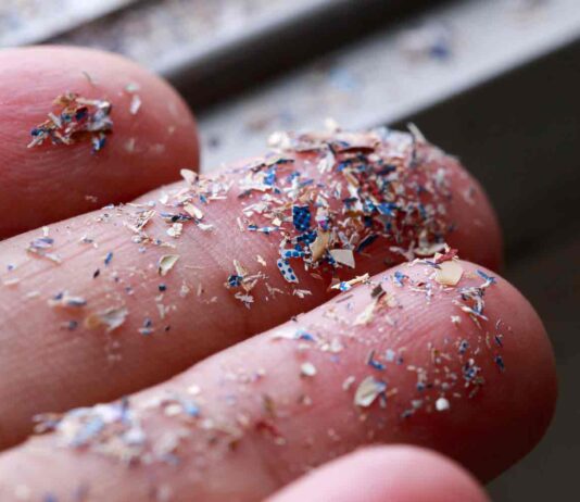 microplastics on fingers